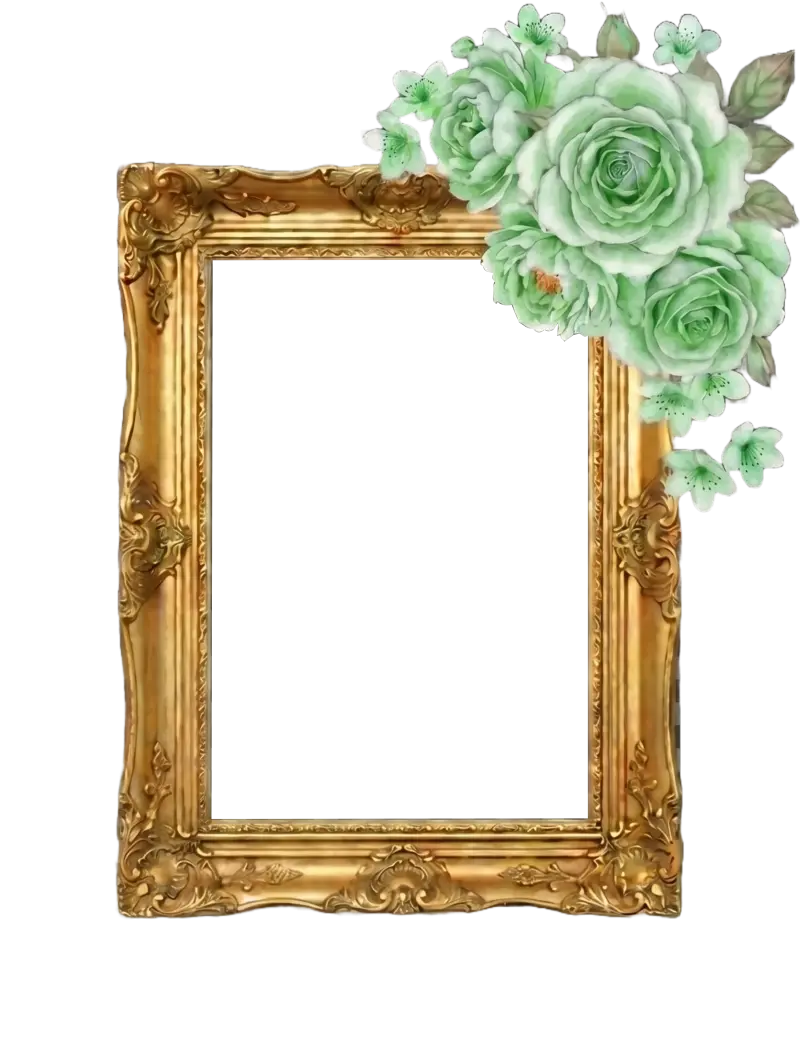 Frame